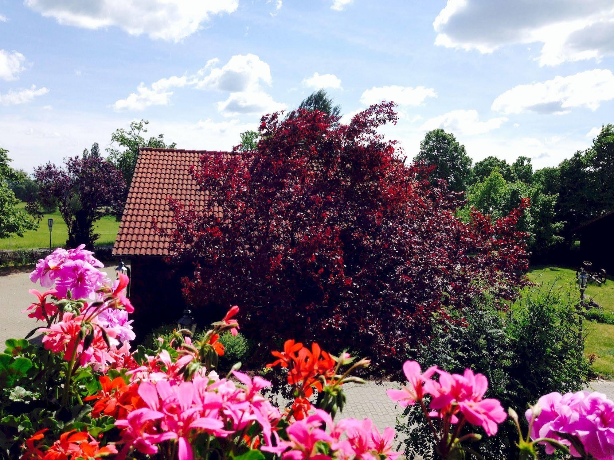 Hotel & Restaurant Zur Spreewaelderin Golßen Dış mekan fotoğraf